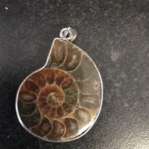 Ammonite Fossil Pendant